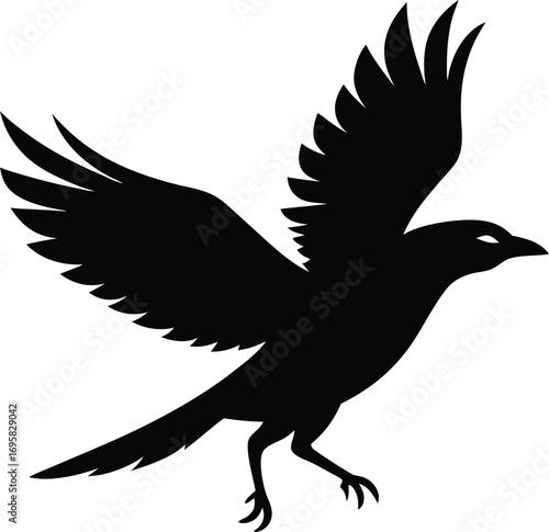 Silhouette of a crow in flight with wings spread wide on a white background bird avian