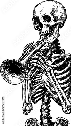 Skeleton playing a trumpet in a black and white line vector illustration. Vintage anatomy style with detailed engraving effect in this monochrome art.