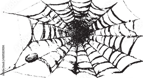 Spiderweb with a spider in the corner presented in black and white sketch style. Ink drawing vector illustration with detailed structure.