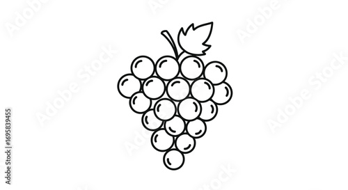 Delicious fresh ripe grapes growing on a vineyard for healthy eating