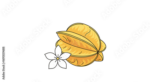 Tropical carambola fruit and delicate flower exotic food illustration