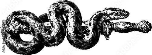 Snake wrapped around a sword in vintage engraving style. Black and white vector illustration with detailed linework.