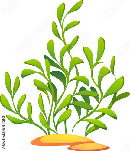 Ocean cartoon seaweed plant or algae, coral reef plant. Aquarium aquatic seaweed, isolated cartoon vector tropical sea water plant. Ocean undersea flora or coral reef underwater algae