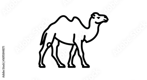 Camel outline illustration