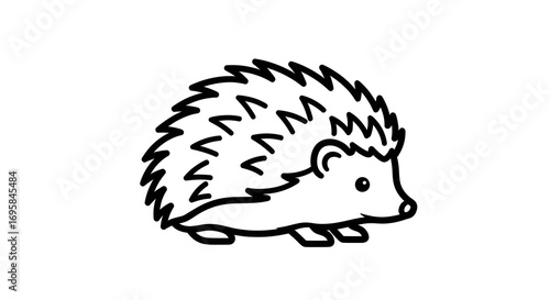 Cute hedgehog illustration