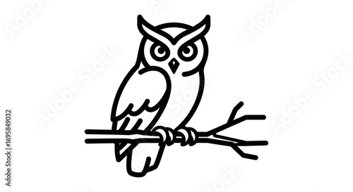 Owl on branch silhouette