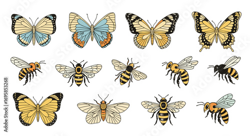 Collection of hand drawn butterflies and bees in various orientations
