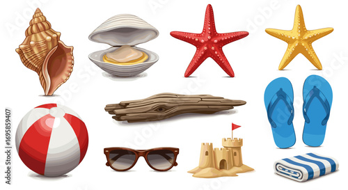 Illustration of beach themed objects including shell and starfish etc