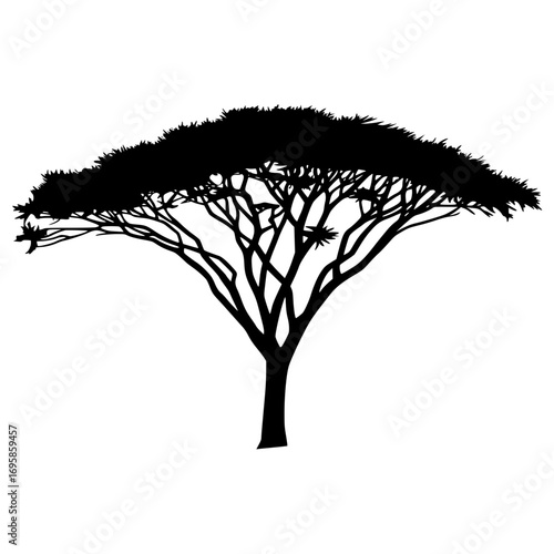 Iconic acacia tree silhouette stands tall symbolizing nature safari and serene landscapes for your designs.