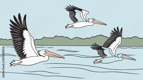 Illustration of pelicans flying over water great for bird watching and nature lovers