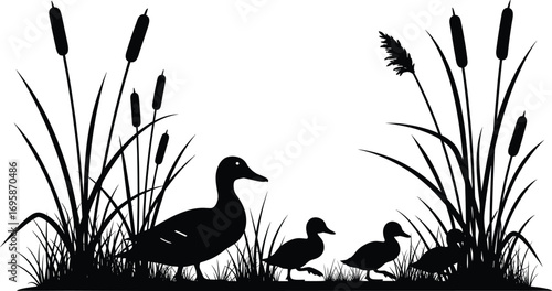 Silhouette of a mother duck and her ducklings in tall grass and reeds
