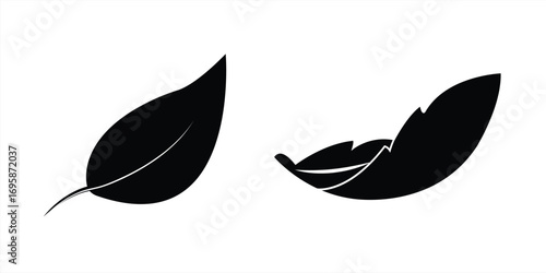 Leaf icon, Leaf sign for Computer websites and mobile apps. vector illustration