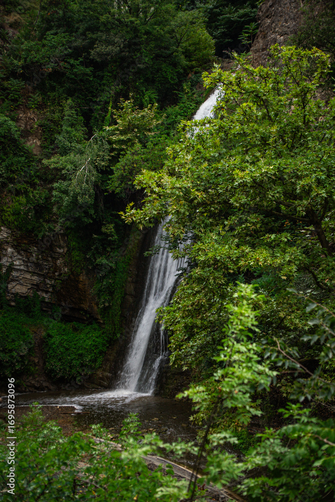 Obraz premium Hidden Waterfall Surrounded by Dense Green Forest