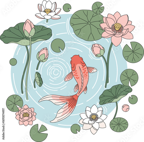 Beautiful koi fish swimming among lotus flowers and lily pads in a pond