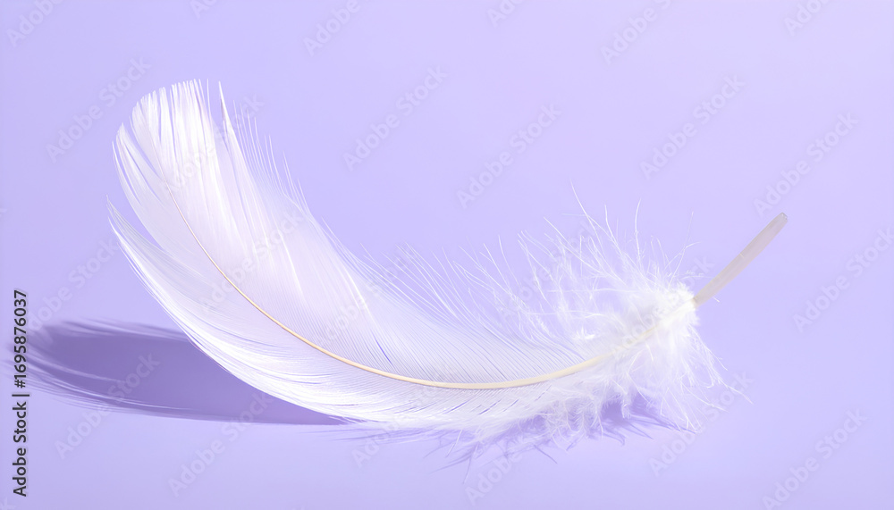 Obraz premium Single Feather on Clean Pastel Lavender Surface
