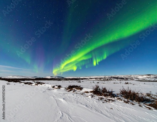 Green And Purple Aurora Borealis Over Snowy Landscape At Night