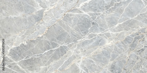 Abstract grayscale texture with subtle organic patterns and light gray organic shapes background