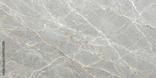 Wallpaper Mural Close up overhead view of a polished grey stone with subtle veins and texture Torontodigital.ca