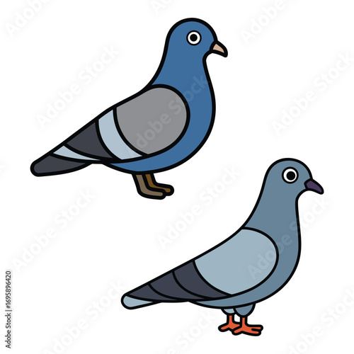 Pigeon Vector Illustration | City Bird Clipart