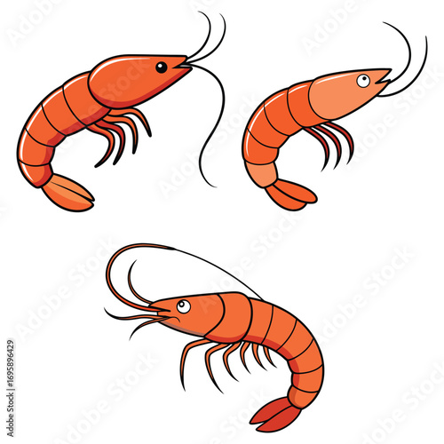 Shrimp Vector Illustration | Seafood Clipart