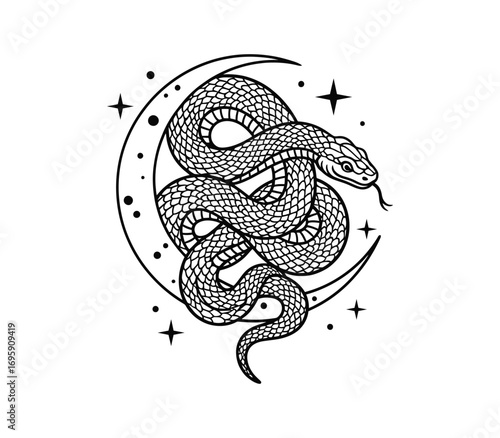 Mystical line art snake coiled around a crescent moon featuring stars perfect for occult and esoteric designs