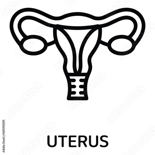 Uterus and reproductive system illustration for medical educational content and anatomical diagrams for women health care silhouette