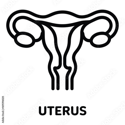 Uterus icon representing female reproductive system for medical and educational purposes use silhouette