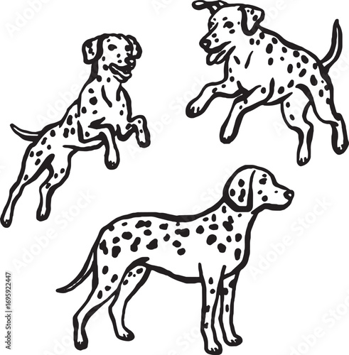 Hand-drawn whimsical Dolmatian dogs.