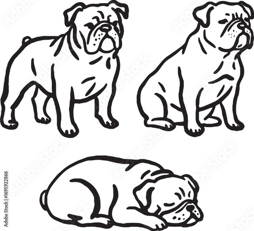 Hand-drawn Bulldog dogs in different poses.