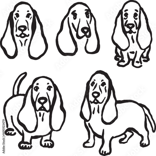 Hand-drawn whimsical Basset hound dogs.