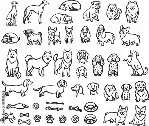 Hand-drawn whimsical dogs of different breeds.