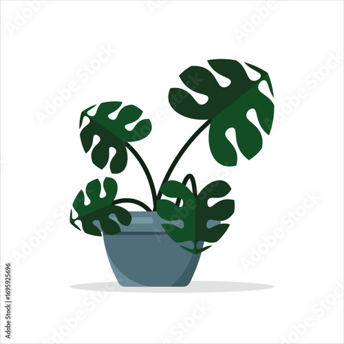 Monstera Deliciosa Decorative Plant on a Pot Colored Flat Illustration