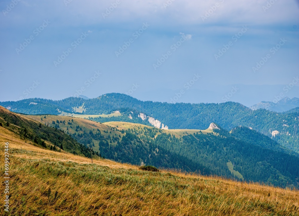 Naklejka premium Beautiful panoramic landscape of rolling hills, forested mountains, and rocky ridges under a blue sky. Summer view from alpine meadows in a remote highland region.