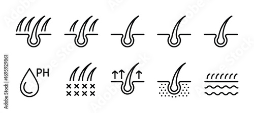 Understanding hair follicle structure and ph balance for healthy hair growth and scalp care routine