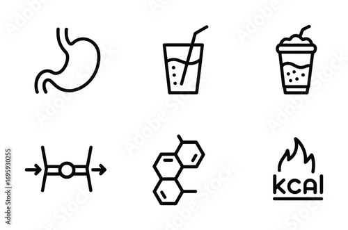 Stomach digestion nutrition diet kcal molecule drink energy health food metabolism process beverage