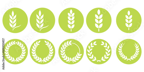 Wheat ear icons set vector silhouettes. Black wheat spikelet vector collection. Set of wheat stalk. Cereal plant silhouettes. Wheat silhouettes. Wheat vector icons. Design eps 10