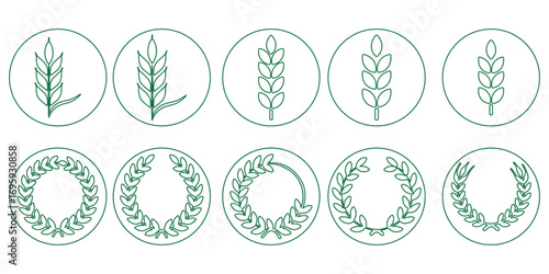 Wheat ear icons set vector silhouettes. Black wheat spikelet vector collection. Set of wheat stalk. Cereal plant silhouettes. Wheat silhouettes. Wheat vector icons. Design eps 10