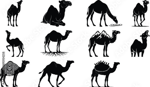 Camel silhouette vector art desert animals set