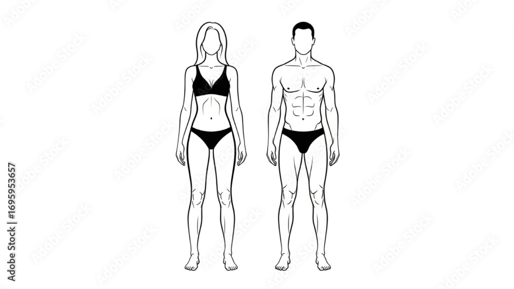 Φωτογραφία Male and Female Body Silhouettes | Human Figure Outline, Front View Full Height