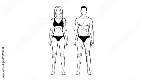 Male and Female Body Silhouettes | Human Figure Outline, Front View Full Height Vector Illustration