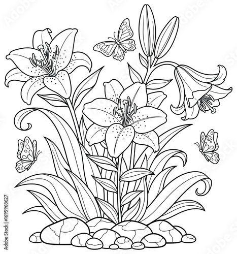Lily illustration featuring blooming flowers with butterflies flying around and decorative leaves on a rocky ground in a detailed black and white vector style