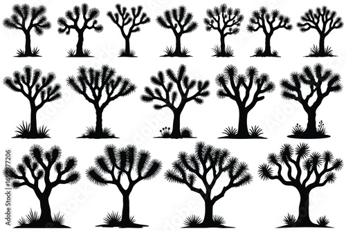 Collection of black Joshua tree silhouettes on white background