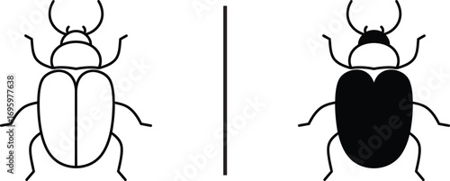 Contrast beetles:  A stark black-and-white graphic of two beetles side-by-side, highlighting the contrast and differences in their coloration and design.