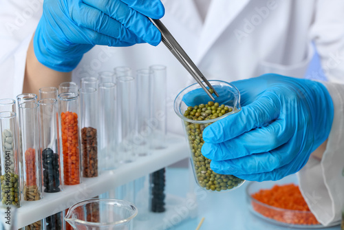 Agronomist working with seed sample in laboratory
