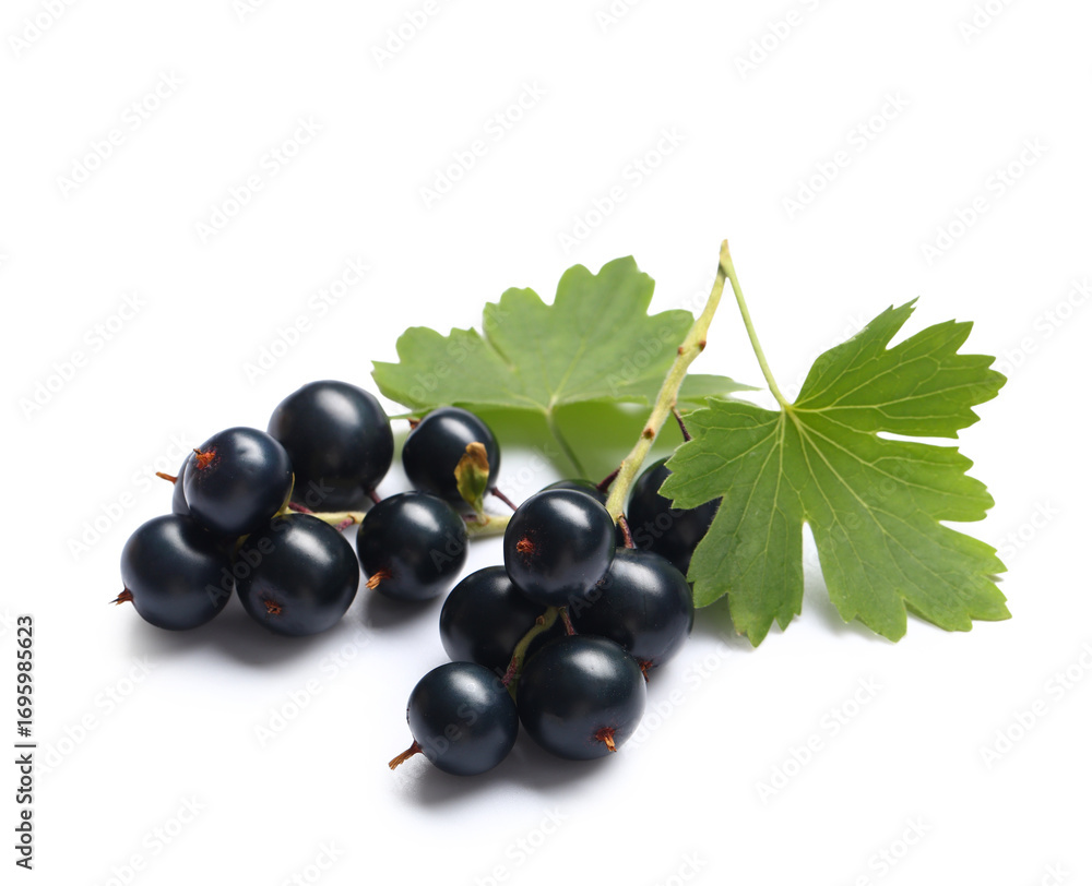 Fototapeta premium Fresh black currants with leaves on white background