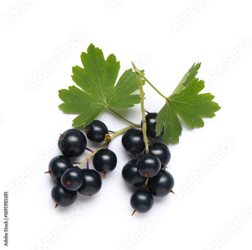Fresh black currants with l...