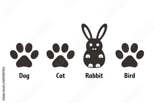 Vector icons of a dog, cat, rabbit, and bird paw prints, symbolizing pets and animal themes
