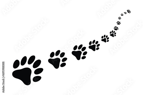 A Winding Trail of Paw Prints Leading to an Unknown Destination