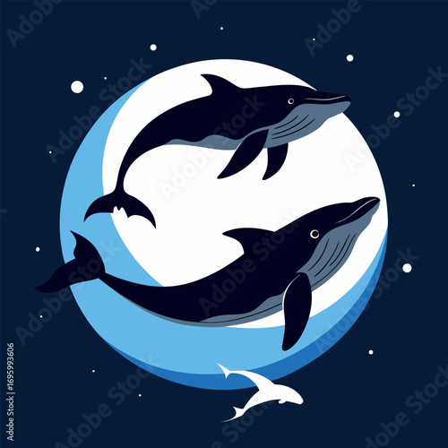 dolphin in the night