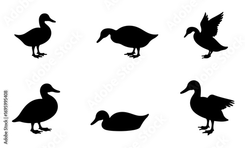 Duck Silhouette Outline Set Featuring Elegant Flying and Standing Ducks for Design Projects